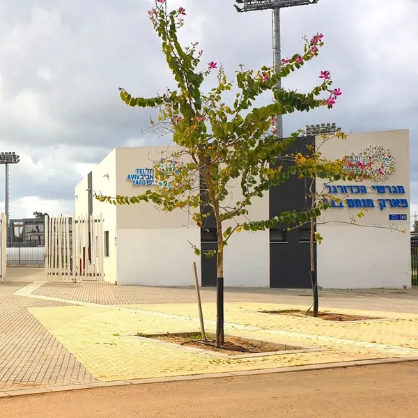 הכניסה לספורטק דרום, שתולים 82